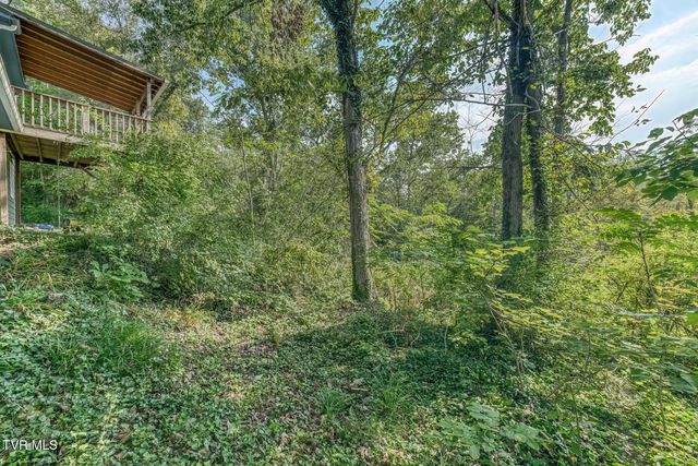 243 Emmett Way, Bristol, TN 37620