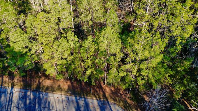 8 Walnut Court, Huntsville, TX 77320