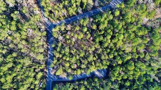 8 Walnut Court, Huntsville, TX 77320