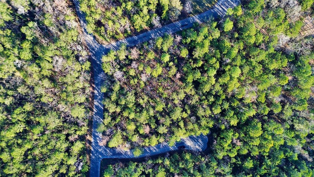 8 Walnut Court, Huntsville, TX 77320