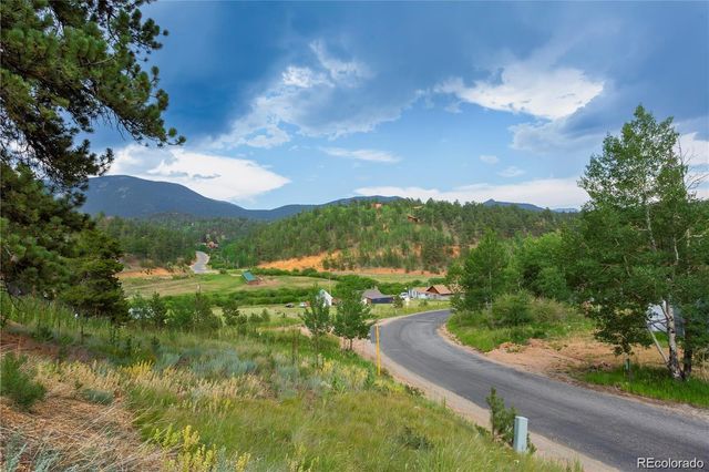 1555 Shelton Drive, Bailey, CO 80421