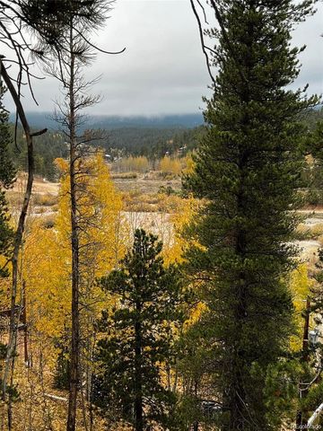 1555 Shelton Drive, Bailey, CO 80421