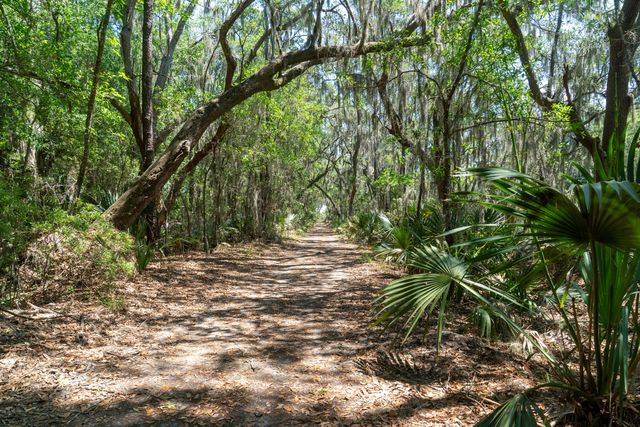 2627 Starfish Drive, Johns Island, SC 29455