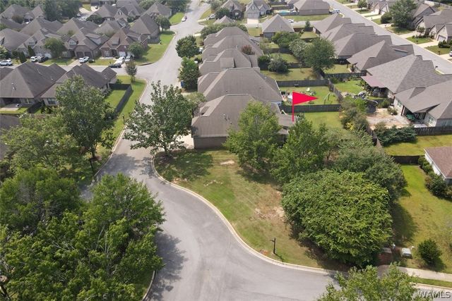3550 Saint Martinville, Tuscaloosa, AL 35406