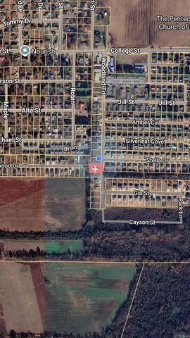 221 woodland trails, Bono, AR 72416