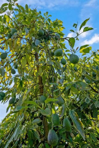 48825 Via Vaquero, Temecula, CA 92590