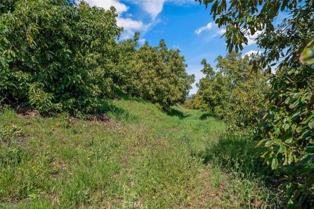 48825 Via Vaquero, Temecula, CA 92590