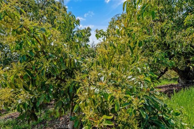 48825 Via Vaquero, Temecula, CA 92590