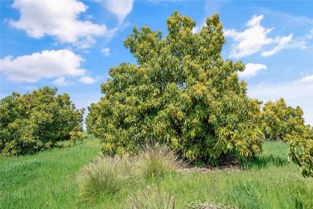 48825 Via Vaquero, Temecula, CA 92590