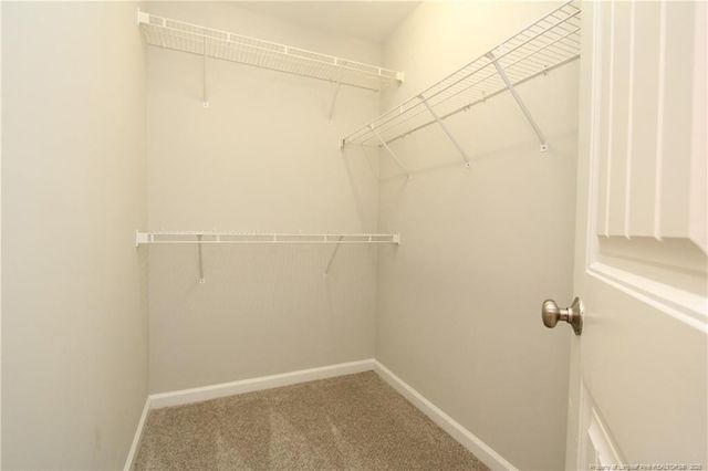 3921 Volkswalk Place, Raleigh, NC 27610