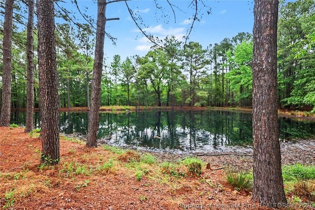 1004 Wentworth Court, Sanford, NC 27330