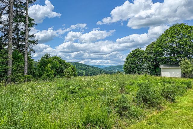 51 Saw Mill Road, Delhi, NY 13757