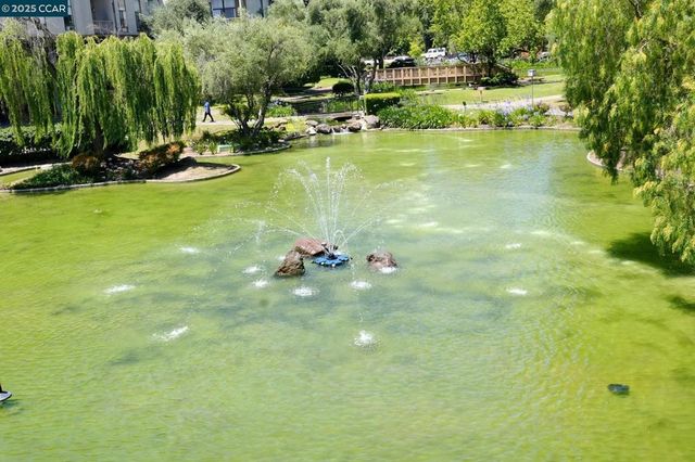 440 N Civic Dr 203, Walnut Creek, CA 94596