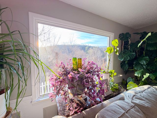 306 Woodbrook DR, Covington, VA 24426