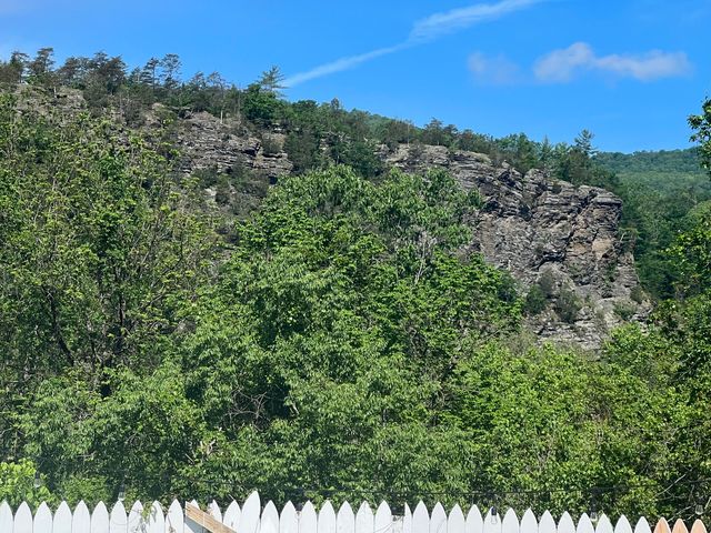 306 Woodbrook DR, Covington, VA 24426