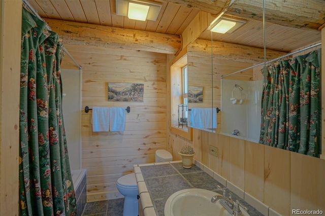236 Mill Run Road, Mosca, CO 81146