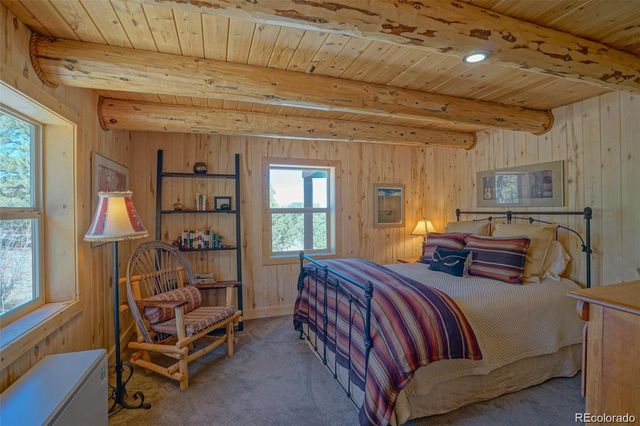 236 Mill Run Road, Mosca, CO 81146