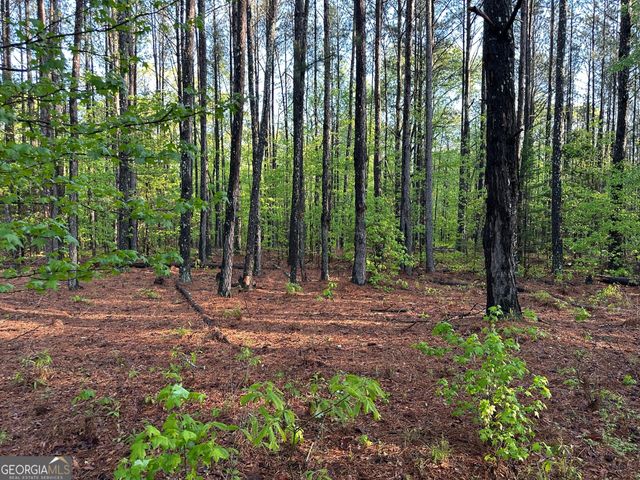 1433 Cleveland Farm Rd, Locust Grove, GA 30248