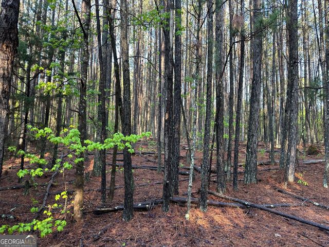 1433 Cleveland Farm Rd, Locust Grove, GA 30248