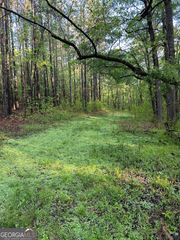 1433 Cleveland Farm Rd, Locust Grove, GA 30248