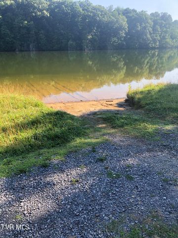 Tbd Gottland Shoals Road, Blountville, TN 37617