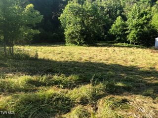Tbd Gottland Shoals Road, Blountville, TN 37617