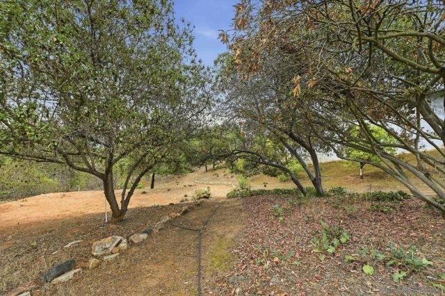 3132 Don Rolando, Escondido, CA 92025