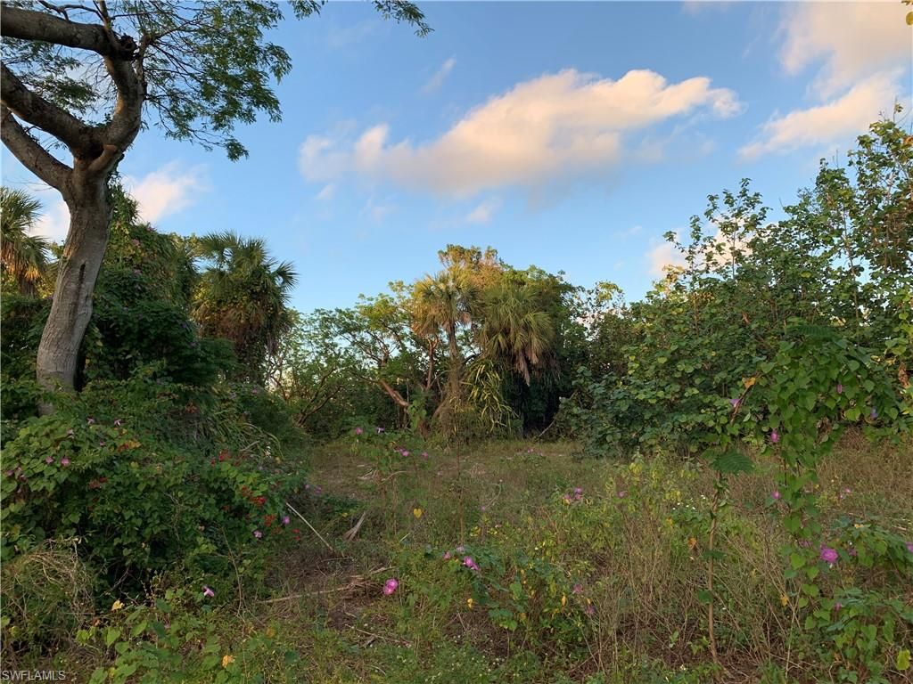 2090 Wild Lime DR, SANIBEL, FL 33957 — photo 5