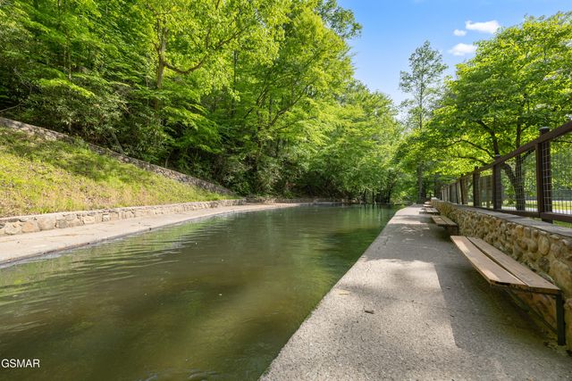 509 Adams Road, Gatlinburg, TN 37738