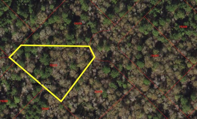 149 Hollow Hill Drive, New Waverly, TX 77340