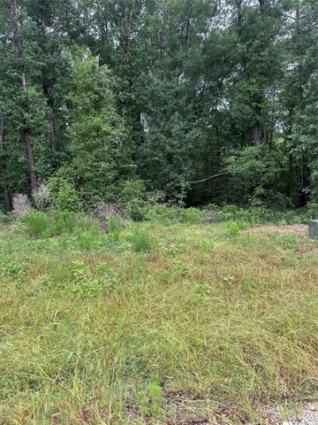 149 Hollow Hill Drive, New Waverly, TX 77340