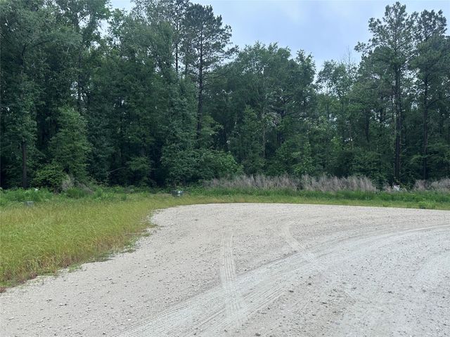 149 Hollow Hill Drive, New Waverly, TX 77340