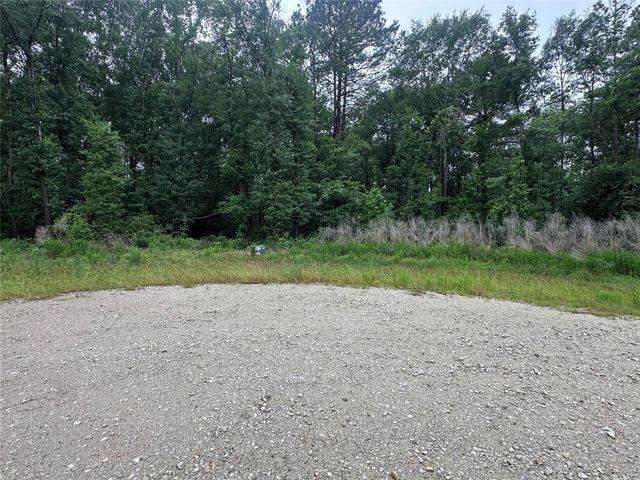 149 Hollow Hill Drive, New Waverly, TX 77340