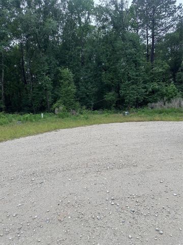 149 Hollow Hill Drive, New Waverly, TX 77340
