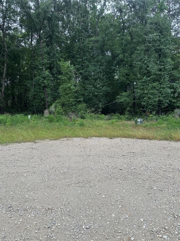 149 Hollow Hill Drive, New Waverly, TX 77340