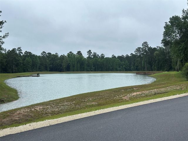 149 Hollow Hill Drive, New Waverly, TX 77340