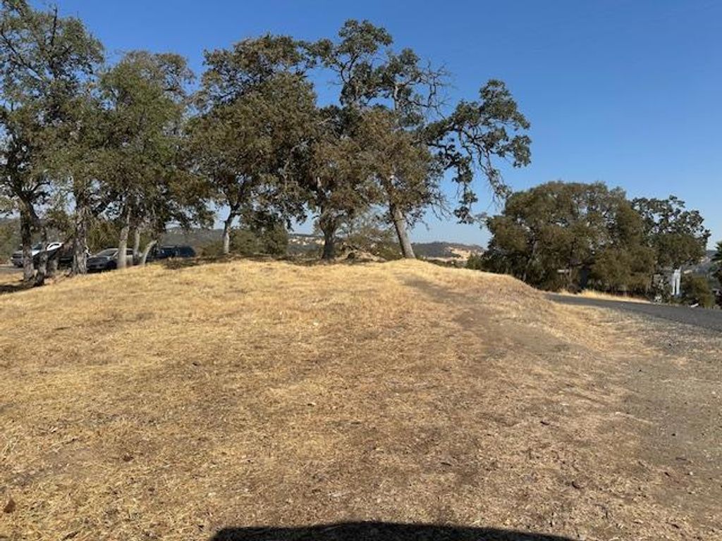 Image 2 of property listing at 4227 Council Trail, Copperopolis, CA 95228