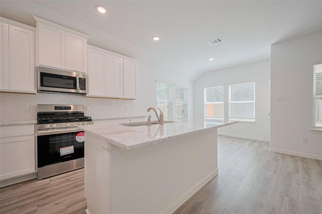 22607 Rising Rosehill Lane, Tomball, TX 77377