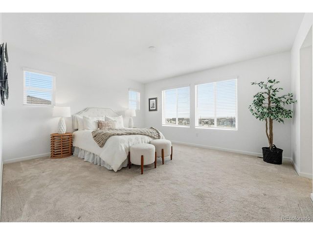 6552 Steuben Way, Castle Pines, CO 80108