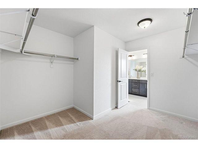 6552 Steuben Way, Castle Pines, CO 80108