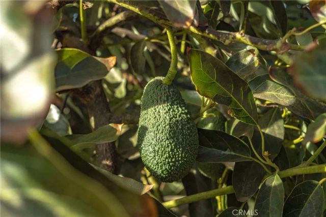 0 Gopher Canyon, Vista, CA 92084