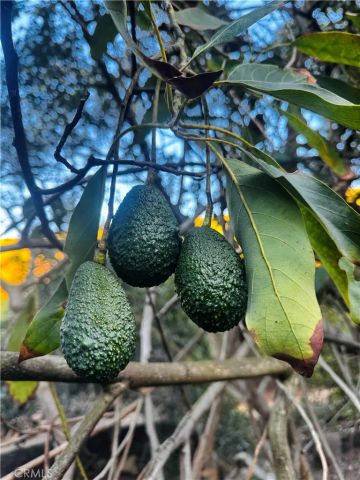 0 Gopher Canyon, Vista, CA 92084