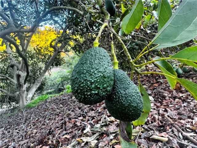 0 Gopher Canyon, Vista, CA 92084