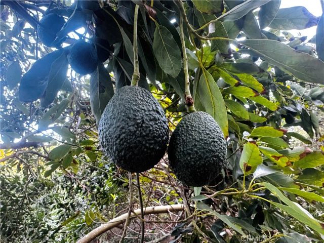 0 Gopher Canyon, Vista, CA 92084