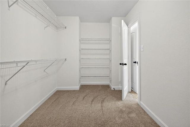 217 Thalia RD, Virginia Beach, VA 23452