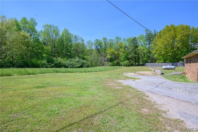 11734 Bull Slough, Northport, AL 35475