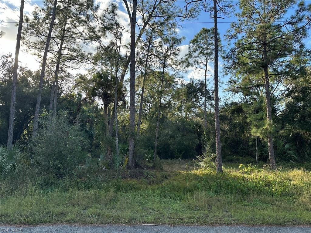 1713 Greenwood AVE, LEHIGH ACRES, FL 33972 — exterior