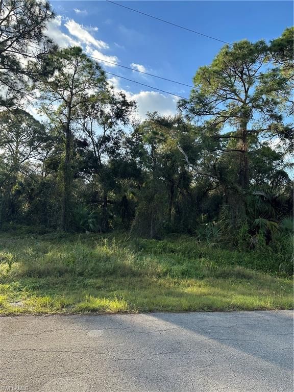 1713 Greenwood AVE, LEHIGH ACRES, FL 33972 — photo 2