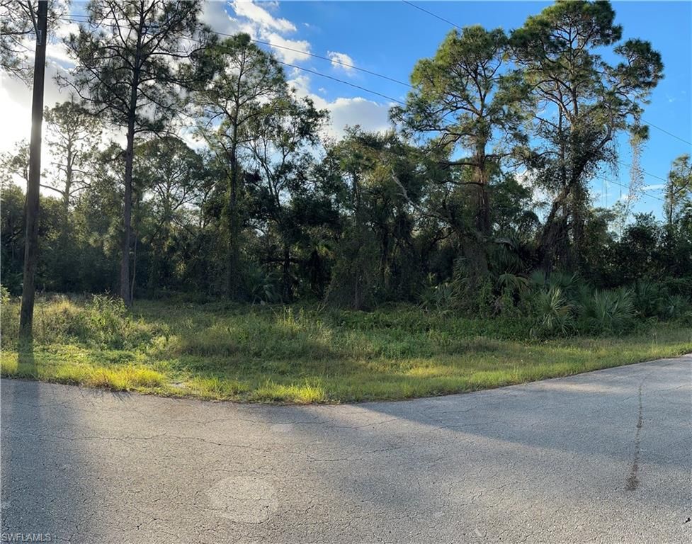 1713 Greenwood AVE, LEHIGH ACRES, FL 33972 — photo 3