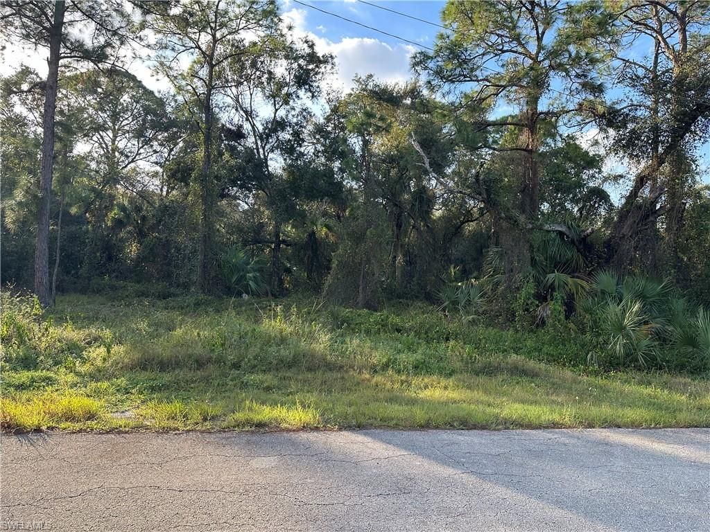 1713 Greenwood AVE, LEHIGH ACRES, FL 33972 — photo 4